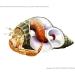 Avalon Cosmetic Packaging Assorted Spiral Seashells 12 Pcs Mixed Medium/Large Size Shells - Perfect for Hermit Crabs - with round opening: 0.5''-1.0'' width. - Buy Online on SooperMarket.com