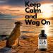 Pet Hemp Oil 225 000 Mg (8 oz) Extra Strength Formula - Peanut Butter Flavoured - Derived Hemp Seed Oil - Hip Joint Support and Skin Coat Health Non-GMO Omega 3 6 9 Balance Oil Made in Canada - Buy Online on SooperMarket.com