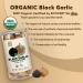 SUNGIVEN Organic Black Garlic Single Clove - 100% USDA Organic, High Antioxidants, Ready to Eat - 8.81 oz (250 g) - Buy Online on SooperMarket.com