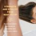 Just Nutritive Extreme Dry Hair Shampoo - Best for Extremely Dry Hair Restores & Nourishes Damaged Hair 16 fl oz - For Men & Women - Buy Online on SooperMarket.com