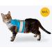 CAT SCHOOL Cat Harness and Leash Set for Outdoor Walks Training and Travel - Secure Soft Comfortable Cat Vest Harness with 10' Long Cat Leash - Easy to Use with Step-by-Step Instructions S/M - Buy Online on SooperMarket.com