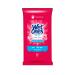 Wet Ones AntibacterialHand Wipes Fresh Scent Wipes | Travel Wipes Case Antibacterial Wipes| 20 ct. Travel Size Wipes