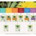 Organic Gas Relief Tea | Traditional Medicinals | Caffeine-Free | 16 Wrapped Bags - Buy Online on SooperMarket.com