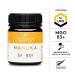 Buy New Zealand Honey Co. Raw Manuka Honey UMF 5+ | MGO 83+ | 250g (8.8oz) - Pure & Natural - Buy Online on SooperMarket.com
