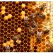 Meli Serron Greek Pine Honey (920) - Pure and Raw Honey from Greece - Buy Online on SooperMarket.com