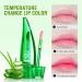 3pcs Aloe Vera Lip Gloss Set - Long Lasting, Nutritious, Moisturizing Lip Balm for Lip Treatment and Dry Lips - Color Changing Lipstick Tinted Lip Balm - Buy Online on SooperMarket.com