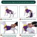 Kuoser Dog Body After Surgery - Breathable Recovery Suit for Male & Female Dogs | Leakage Protection & Anti-Licking | Purple L (1 Pack) - Buy Online on SooperMarket.com