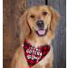Dog Birthday Bandana Gotcha Day Pet Scarf Dog Adoption Bandana for Boys and Girls Dogs Cats Scarf Bibs Accessories for Pet Birthday Gift (Red) - Buy Online on SooperMarket.com