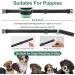 MASBRILL Anti Bark Collar for Large Medium Small Dogs - Dog Barking Collar with Vibration & Sound Harmless Training - Stop Dog Barking Deterrent Device 7 Sensitivity Adjustable No Bark Collar - Green - Buy Online on SooperMarket.com