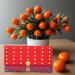 harayaa Chinese Lunar Year Red Envelope Hongbao 2024 Dragon New Year Gifts Red Packets Red Pockets for Birthday Spring Festival Rich Blue - Buy Online on SooperMarket.com
