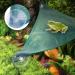 Tnfeeon Mesh Reptile Triangular Hanging Net Hammock - Green (M) - Buy Online on SooperMarket.com