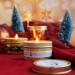 Sentorini Fragrance Candles Christmas Gift Set - 4 Soy Wax Aromatherapy Candles for Women | Perfect for Weddings Parties Father's Day Mother's Day & Valentine's Day - Scents: Sherry Brandy Apple Cinnamon Winter Cedar Gingerbread - Buy Online on SooperMarket.com