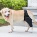 Hip Brace for Dogs - Flexible Hip Brace for Dogs Dog Hip Joint Brace for Torn ACL Patella Luxation Osteoarthritis Limping from Joint Hip Dysplasia Kot-au Black Medium - Buy Online on SooperMarket.com