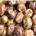 Date Lady Organic Barhi Dates | Vegan Paleo Gluten-Free & Kosher | 24 oz (3 Bags) | No Sugar Added - Buy Online on SooperMarket.com