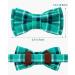 Tagme Turquoise Cat Collar with Personalized Name & Phone Number - Safe Kitten Neck Band with Bell | 1 Pack - Buy Online on SooperMarket.com