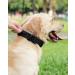 Joytale Tactical Dog Collar for Large Dogs | Durable Handle & QR Code Dog Tag | Best Black Collar for Outdoor Adventures - Buy Online on SooperMarket.com
