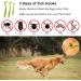 Izyufan Tick Remover Tool 3 Pcs - Painlessly Removes Ticks for Dogs, Cats, and Humans - Green - Buy Online on SooperMarket.com