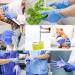 Dr.GreenPanda Blue Nitrile Medical Exam Gloves - 1000pcs, Latex&Powder Free, 3mil, Medium - Ideal for Healthcare, Food Prep, Cooking, Cleaning - Multipurpose Gloves - Buy Online on SooperMarket.com