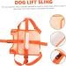 GANAZONO Pet Leg Assist Belt Puppy Rehabilitation Dog Vest Pet Lift Chest L Orange - Buy Online on SooperMarket.com
