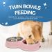Fur & Bone Double Slow Feeder Dog Bowl | Raised Non-Slip Cat Food & Water Bowl | Stainless Steel, Pink - Buy Online on SooperMarket.com
