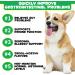 Digestive Probiotic Soft Chews for Dogs Canine Dietary Supplements and Immunity Support Chewable Vitamin Treats for Dogs- Duck Flavour 120 Tablets - Buy Online on SooperMarket.com