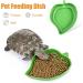 2Pcs Tortoise Water Bowls Reptile Feeding Dish Leaf Shape Reptile Food Water Bowl Feeding and Water Dish Reptile Accessories Tortoise Water Dish Tortoise Cage Accessories - Buy Online on SooperMarket.com