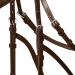 WALDHAUSEN X-Line Hackamore Bridle - Dark Brown Stainless Steel for Warmbloods - Full Size | Premium Horse Gear - Buy Online on SooperMarket.com