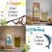 Origeens Organic Yerba Mate Set x4 - 4x80g | Premium Mate Tea Gift Set - Buy Online on SooperMarket.com