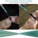 Vivaglory Short Dog Leash - 32cm Training Line for Medium & Large Dogs - Green Traffic Leash - Buy Online on SooperMarket.com