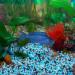 300 Colorful Fluorescent Stones - Bright Pebbles for Garden Decoration & Sidewalks - Buy Online on SooperMarket.com