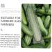 2pcs Vegetable Shaping Mold Cucumbers Vegetables Garden Fruit Mold Fruit Shaping Mold Modeling Melon - Buy Online on SooperMarket.com