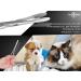 Professional Stainless Steel Ear Sink Dog Ear Hair Remover Pliers - 16 cm Animal Hair Tongs - Buy Online on SooperMarket.com