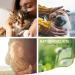 Reavet Grass Mites Spray 500ml - Effective Defense & Care for Dogs | Anti-Mites Spray & Itch Relief - Buy Online on SooperMarket.com