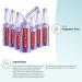 L'Oreal Paris Revitalift Derm Intensives Hyaluronic Acid Serum Ampoules | Anti-Aging Skin Replumping - 7 Day Boost (Pack of 7 - Buy Online on SooperMarket.com