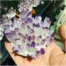 Natural Crystal Cluster Amethyst Specimen Ore Purple Reiki Stone Raw Crystal Home Decor Decoration Gift (Size : 500-600) - Buy Online on SooperMarket.com