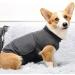 Felenny Dog Anxiety Vest Breathable Soft Clothes Wrap Shirt Relief Calming Coat for Small Medium Large Dogs XXL - Buy Online on SooperMarket.com