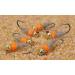 Tungsten Bead Head Hot Spot Hares Ear Jig Fly - Euro Nymph - Hanak Hooks - 6 & 8 Flies Packs 6ct Hook #14 - Buy Online on SooperMarket.com