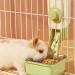 2-in-1 Pet Hanging Bowl for Crates - Small Dog/Puppy/Cat/Rabbit Feeder - Removable Stainless Steel - Green - Ideal for Hamster/Guinea Pig/Ferret - Buy Online on SooperMarket.com