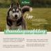 Aniforte Grasmilbel Ex Spray 500ml - Effective Grass Mite & Parasite Defense for Dogs | Soothes Itchy Skin - Buy Online on SooperMarket.com