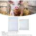Boar Sperm Extender Long Lasting Sperm Dilution Powder Extend Sperm Viability for Pigpen - Buy Online on SooperMarket.com