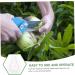 VINTORKY 3pcs Vegetable Mold Ginseng Creative Melon Fruit Accessory Forming Machine Gourd - Buy Online on SooperMarket.com