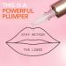 Dr. Dennis Gross DermInfusions Plump + Repair Lip Treatment - Visibly Plumps & Defines Lips Repairs Moisture Barrier | 10ml - Buy Online on SooperMarket.com