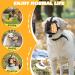 BONTHEE Dog Muzzle Soft Mesh Muzzles for Small Medium Large Sized Dogs Muzzle for Dogs to Prevent Biting Breathable Puppy Muzzle for Scavenging Grooming Biting Chewing and Licking Carrot M - Buy Online on SooperMarket.com