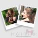 Large Chic Styling Hair Claw Clip - Organic Glass Hair Clamp for Women and Girls - Hair Barrette for Thick Hair Amber - Buy Online on SooperMarket.com