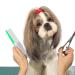 Premium Stainless Steel Dog & Cat Comb - Flea Comb for All Hair Types (Green) - Perfect for Short Medium & Long Hair Pets - Buy Online on SooperMarket.com