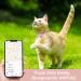 Lafayi 2 Pack Cat Collar with Bell & Reflective GPS Tracker | Personalized Pink Airtag Case & Safety Clasp | International Shipping Available - Buy Online on SooperMarket.com