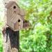 Esenlong Wooden Bird House - Garden Novelty Nesting Box for Birds - Eco-Friendly Sustainable Forests - Ideal for Outdoors, Trees, or Balconies - Buy Online on SooperMarket.com