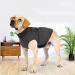 Felenny Dog Anxiety Vest Breathable Soft Clothes Wrap Shirt Relief Calming Coat for Small Medium Large Dogs XXL - Buy Online on SooperMarket.com