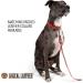 Logical Leather 6FT Braided Dog Leash - Heavy Duty Full Grain Leather Lead in Red - Buy Online on SooperMarket.com