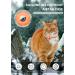 Buy Airtag Cat Collar - Reflective Kitten Neck Band | Light Tracker with Bell for Young Cats - Orange - Buy Online on SooperMarket.com